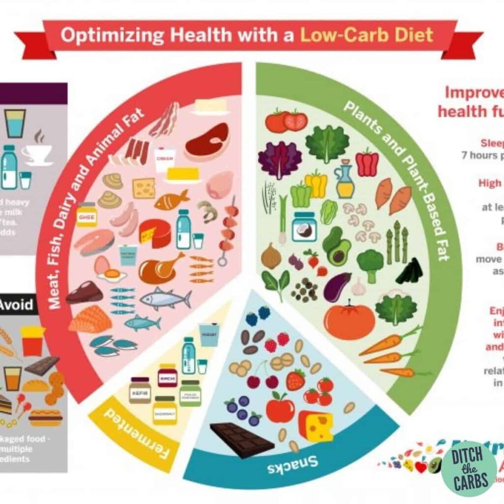 Diagram showing the foods to consume on a low carb diet